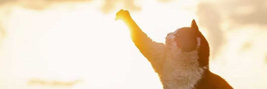 ThatSpenceGuy's profile banner image