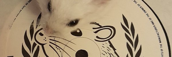 kenosist Profile Banner