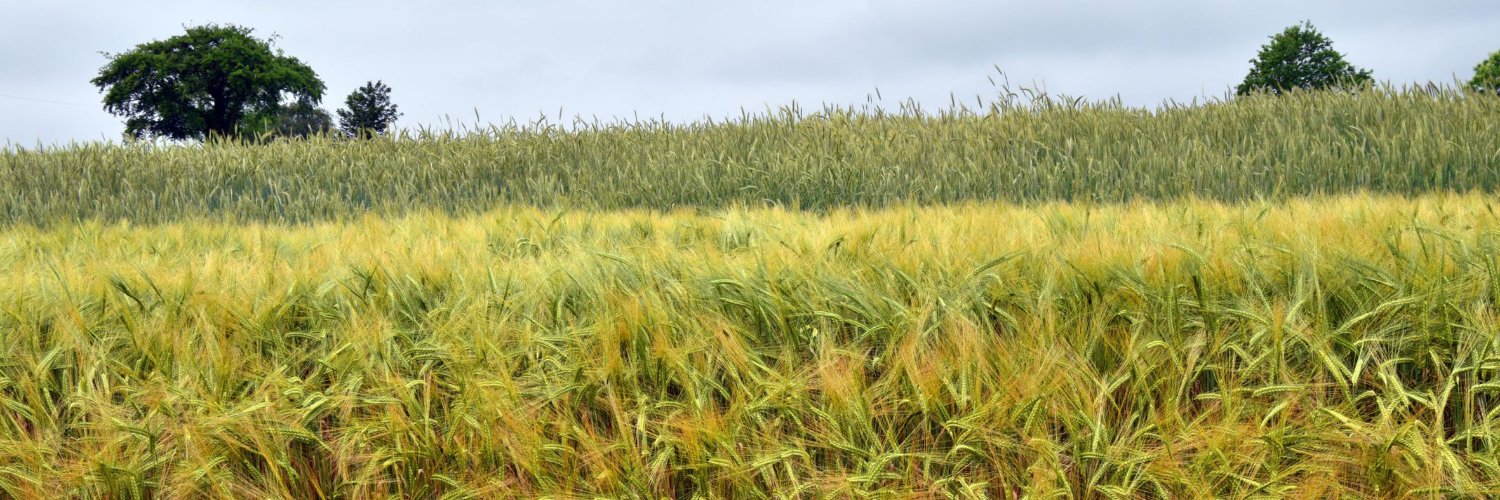 AFBI Crossnacreevy banner