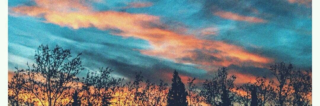 leyla2797's profile banner image