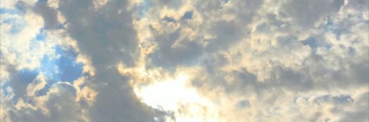 cutinqr's profile banner image