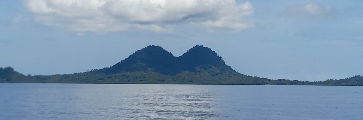 thoponn's profile banner image