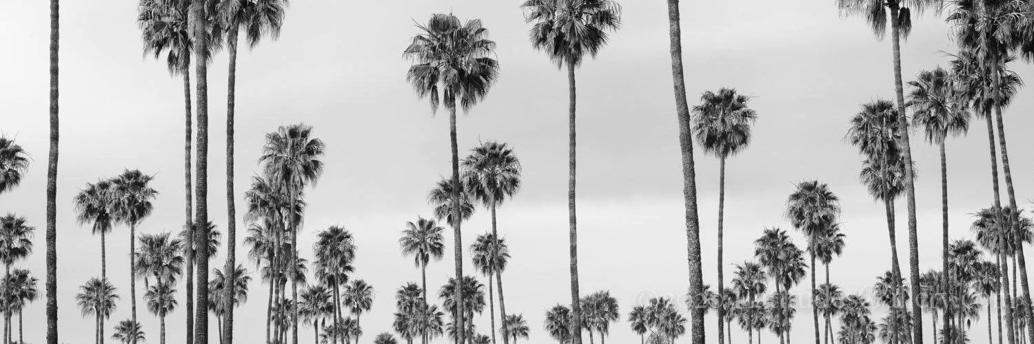 ryanvandyke's profile banner image