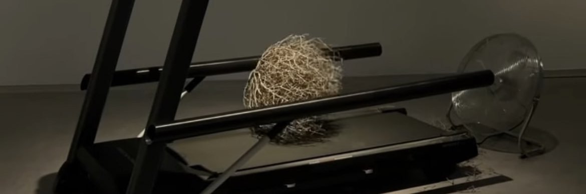 Dick Pillzerian banner