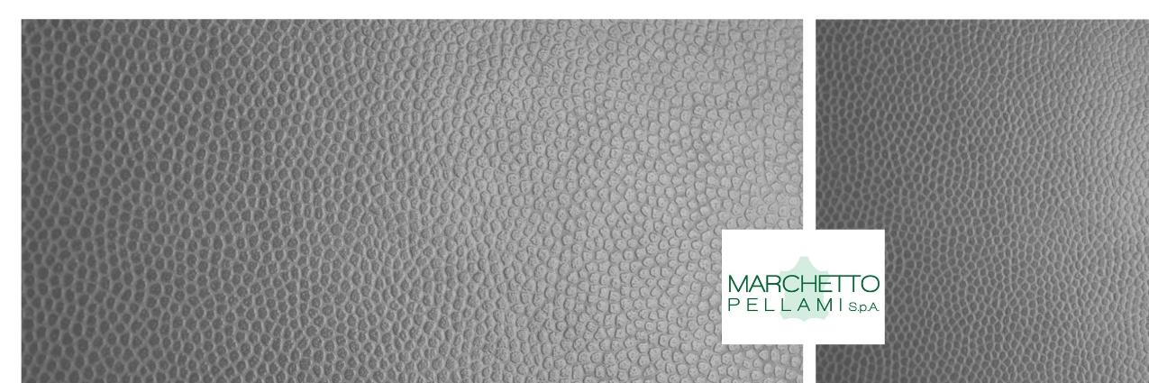 MarchettoPelli's profile banner image
