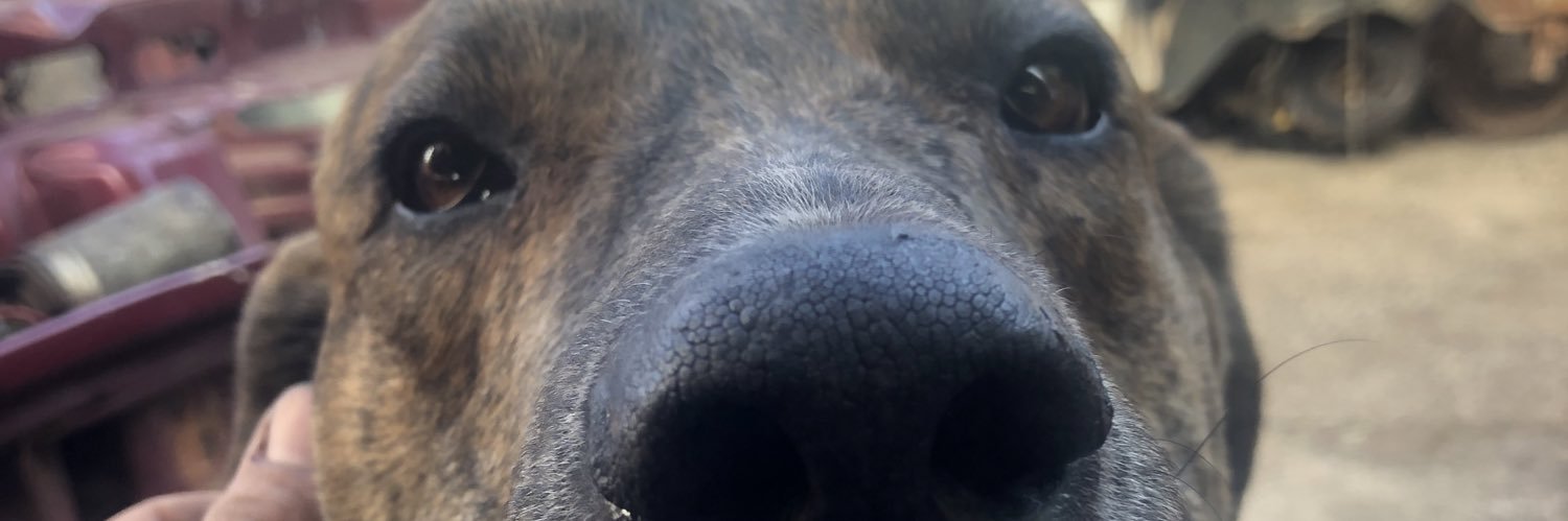 iagojbp's profile banner image