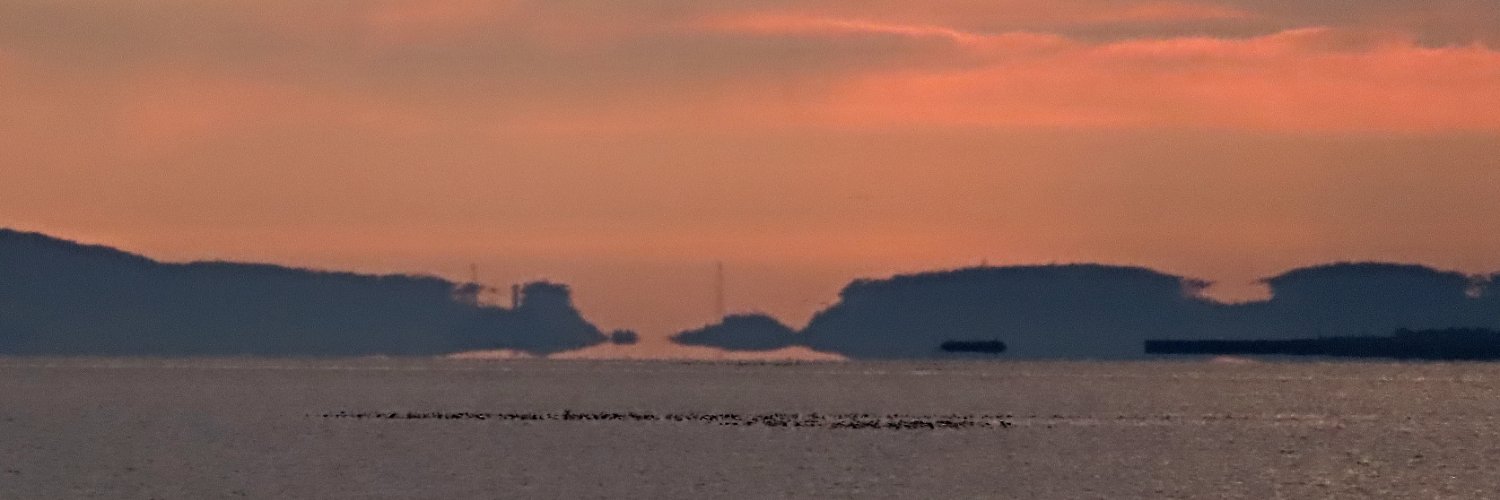 yocchel's profile banner image