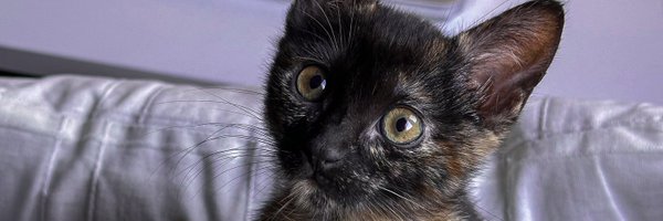 MarquitosParis Profile Banner