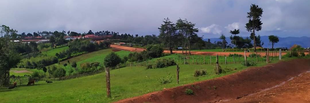 KipRodge's profile banner image