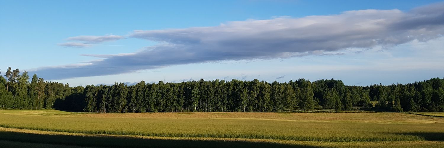 Lauri Pelkonen banner