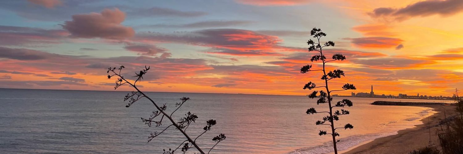 solcito_bn's profile banner image