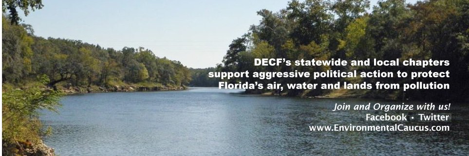 Democratic Environmental Caucus of Florida banner