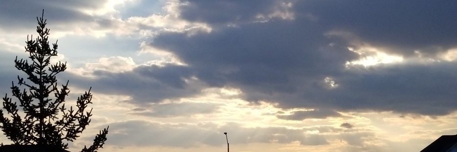 formula001's profile banner image