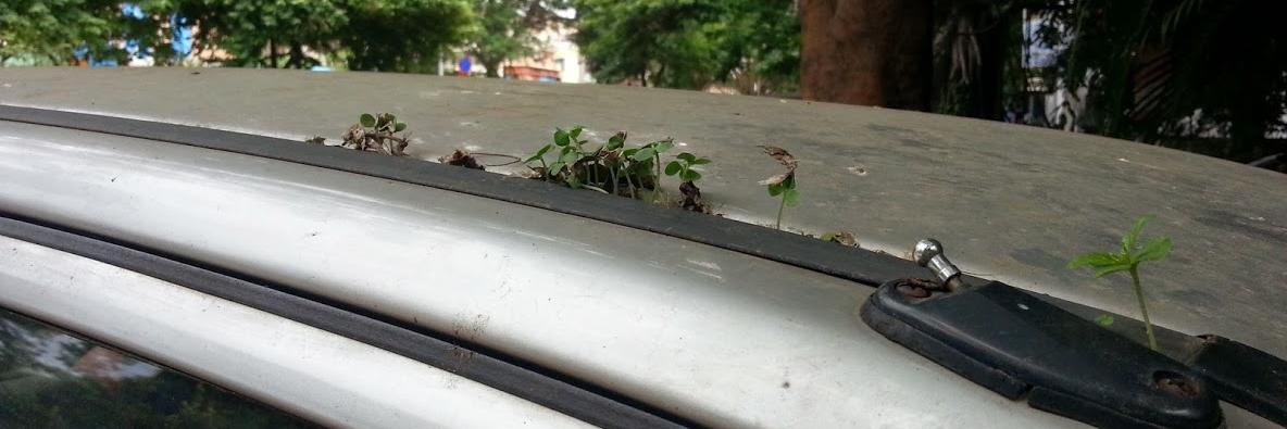 tbdinesh's profile banner image