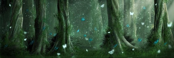 gragnorr Profile Banner