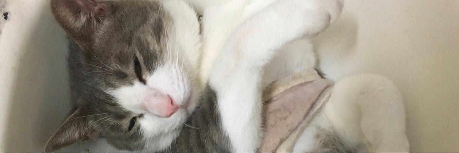 naojyosou's profile banner image