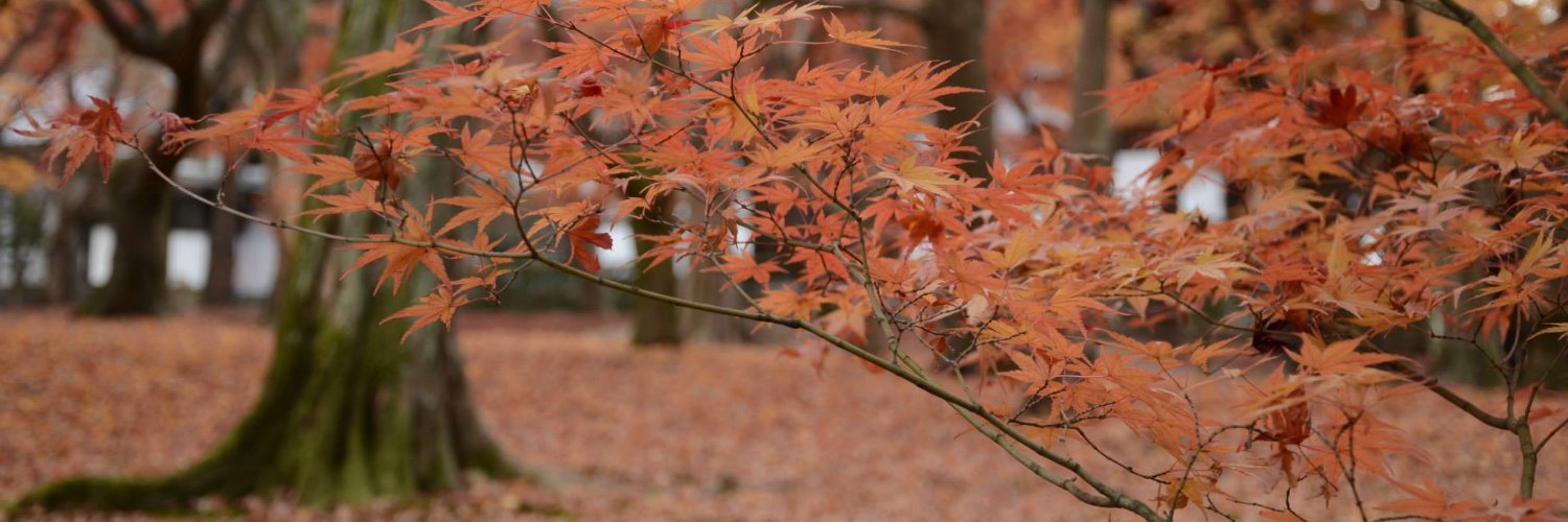 hapybrian's profile banner image