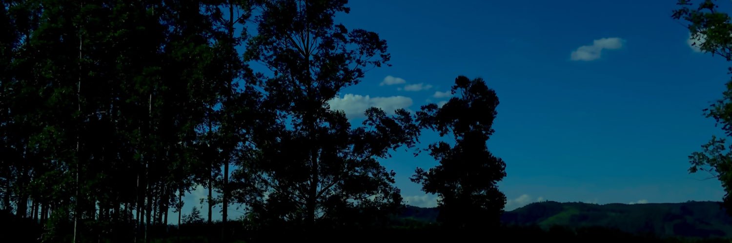 lyrabolat's profile banner image