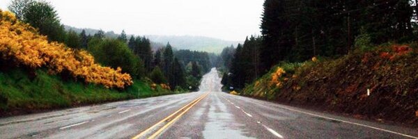 bz7441 Profile Banner