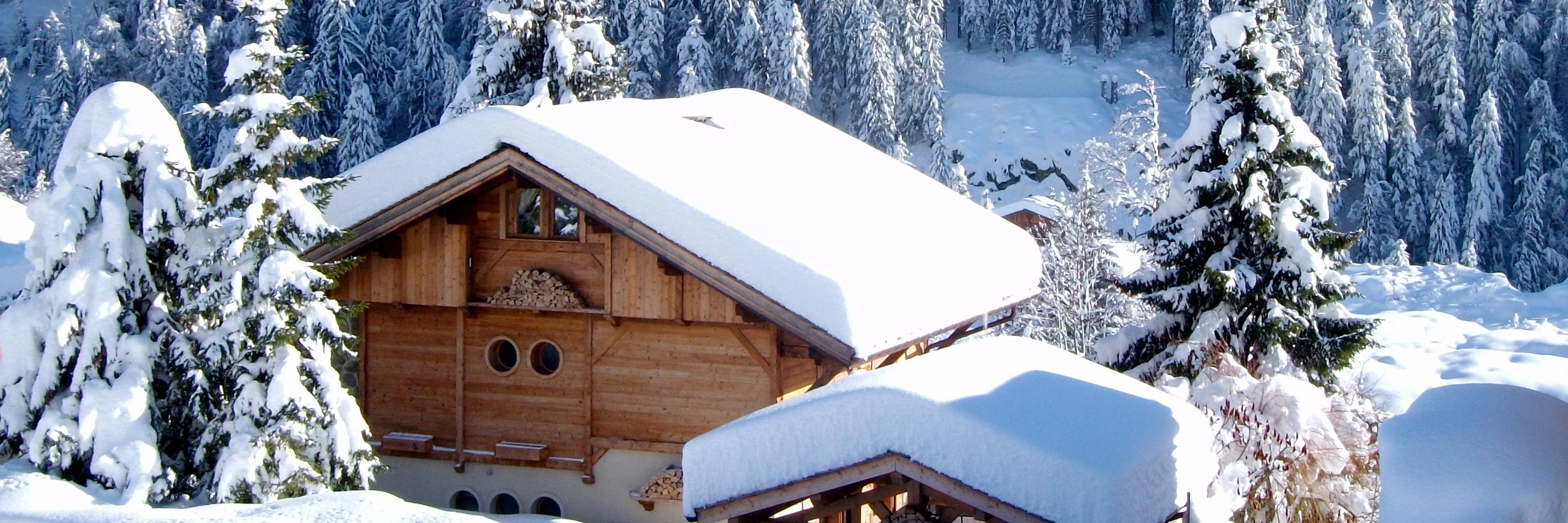 truealpine's profile banner image