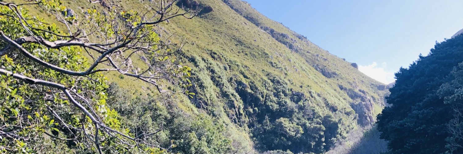 utando_'s profile banner image