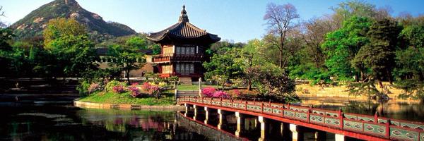 EvilTreeFrogs Profile Banner