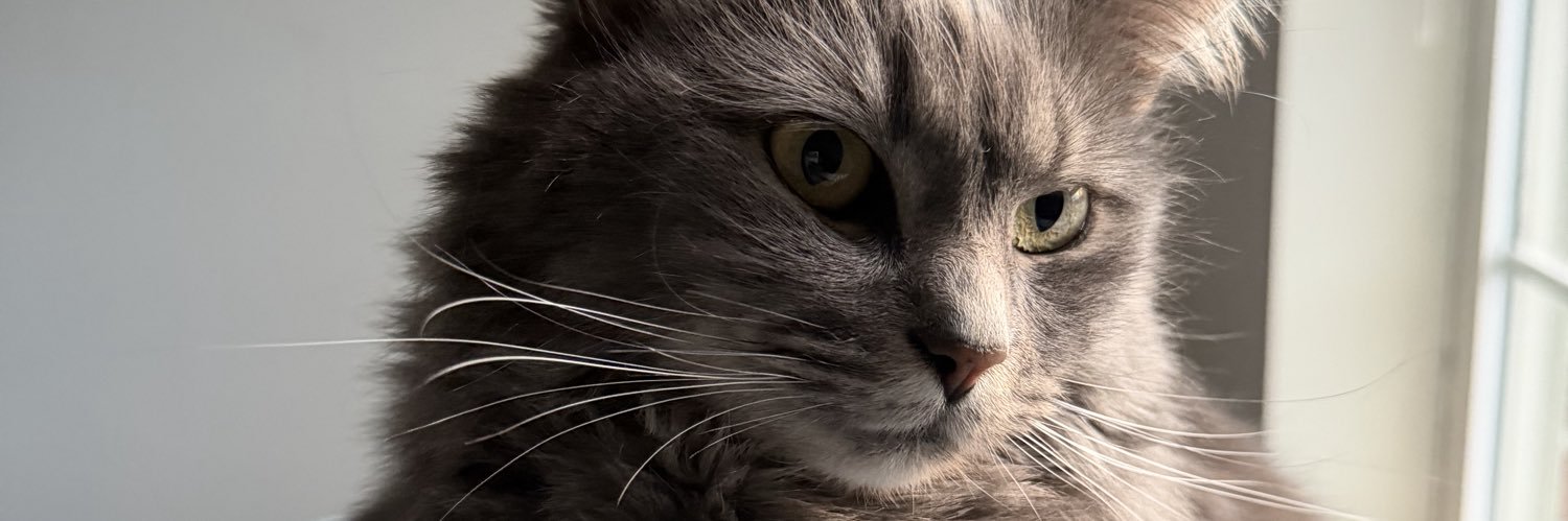 Sweetheart🫐 banner