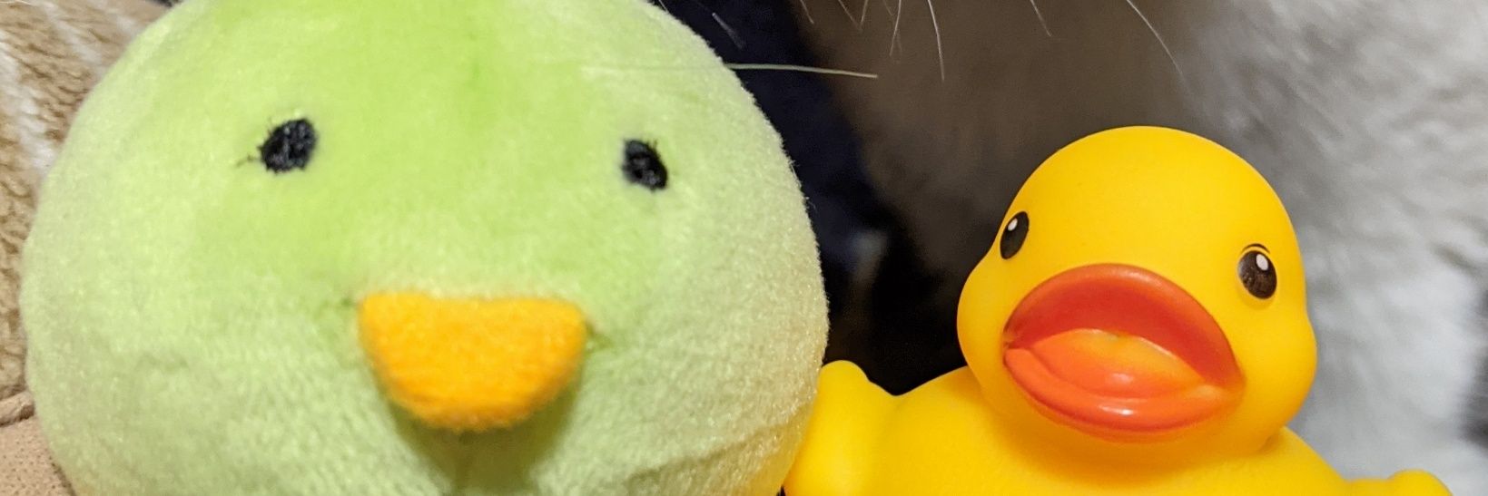 にゃあちゃん banner