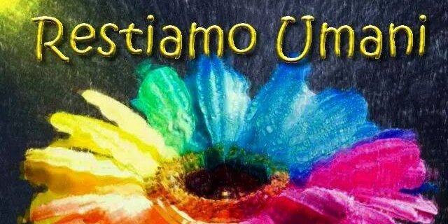 RZantedeschi's profile banner image