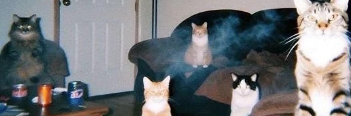 suffocatedbydestiny_ banner