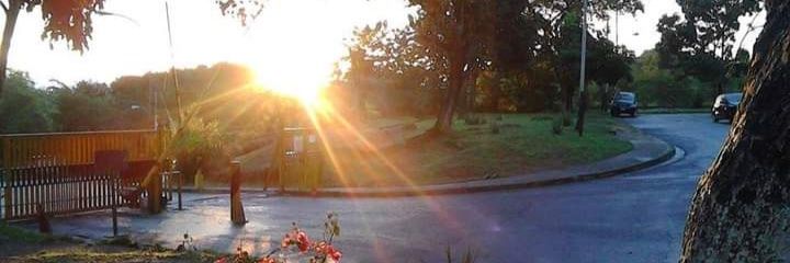 Coko_428's profile banner image
