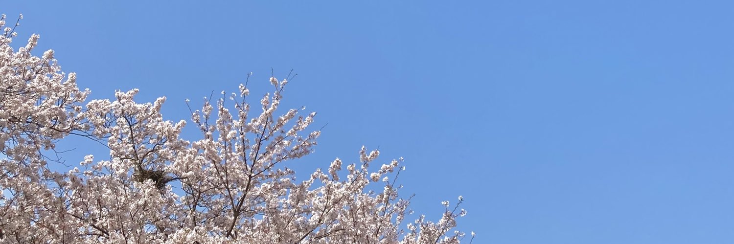 ばし banner