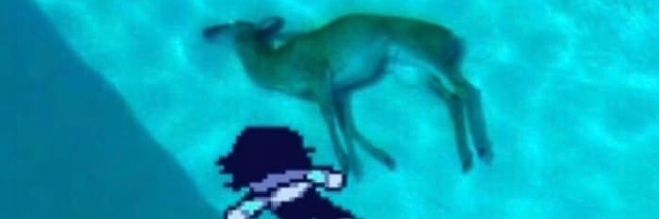 BloodyClawsGuy's profile banner image