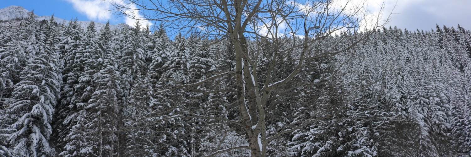 THIERRYJAY's profile banner image