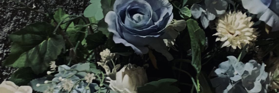llevios4's profile banner image