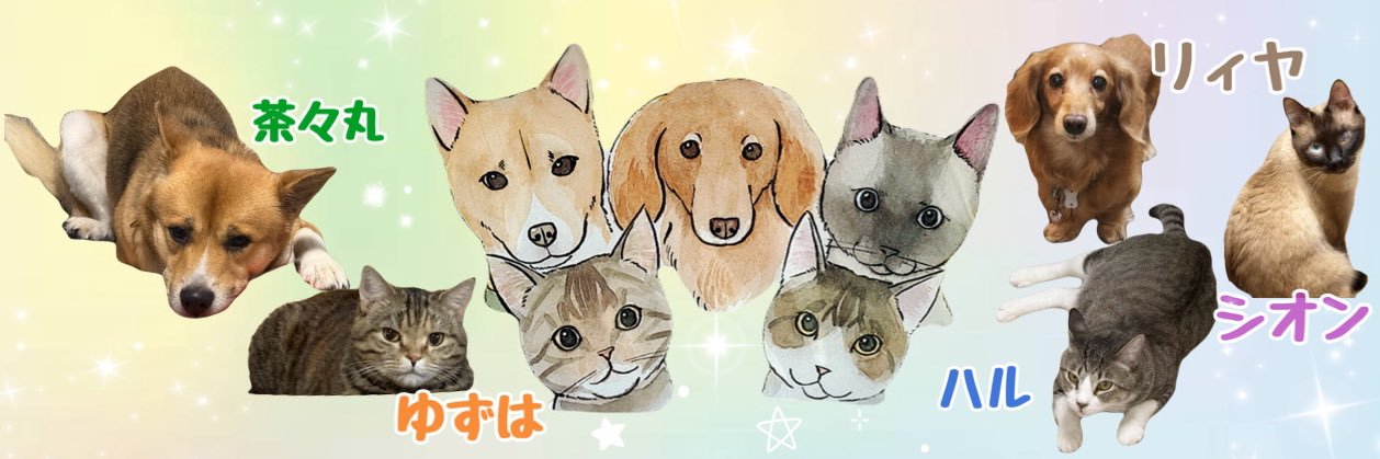 pierre_flute's profile banner image