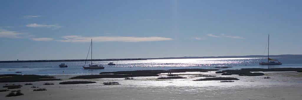 SylviedeLaBoétie🇨🇵🍷🇨🇵 indigène autochtone banner