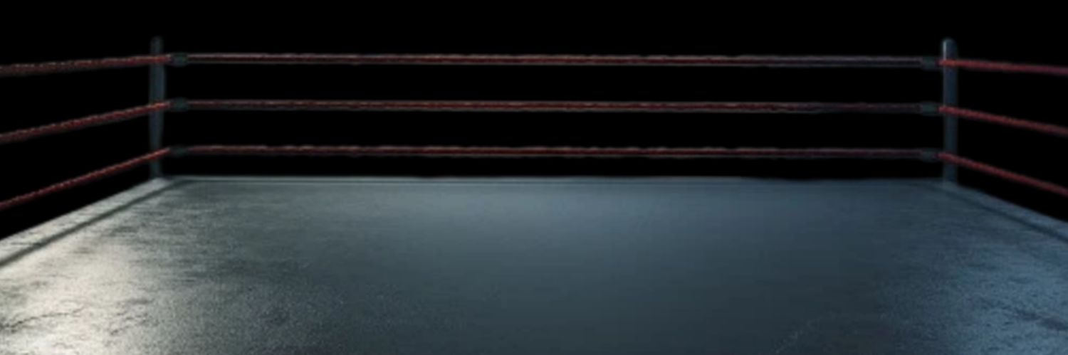 Evan Satoru・エヴァン・サトル's banner