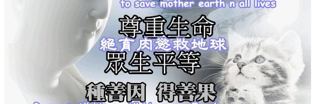 hkcatrefuge's profile banner image