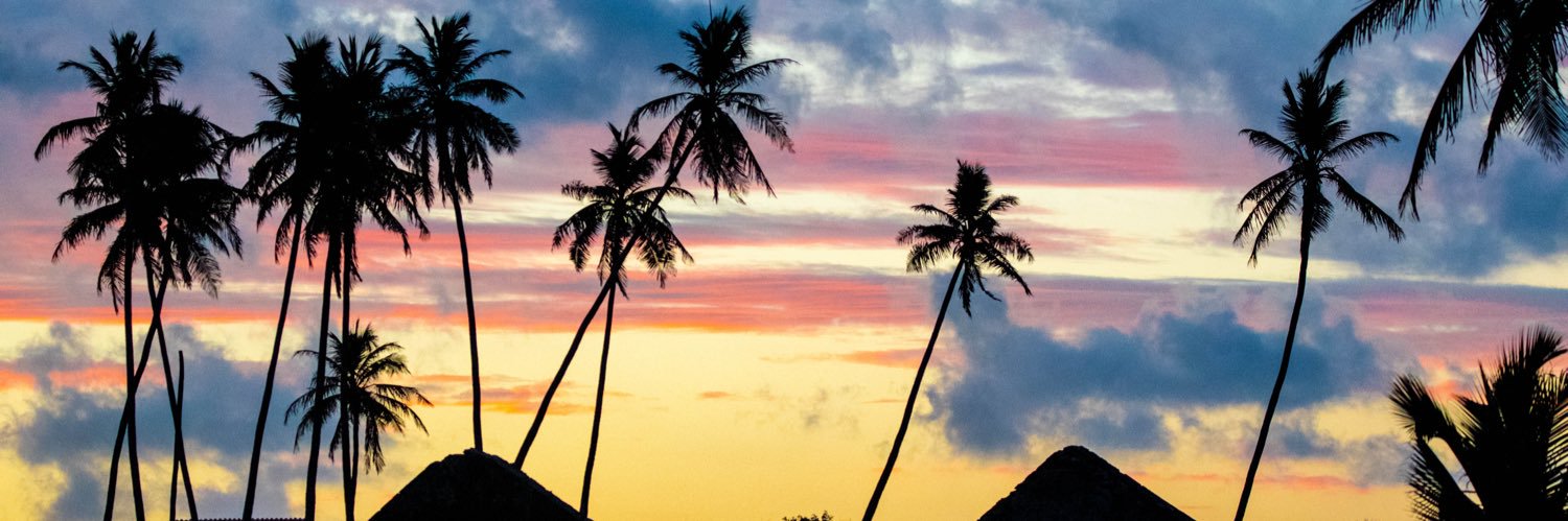 @fran6beach banner