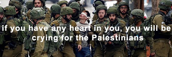 It_remains_Palestine banner