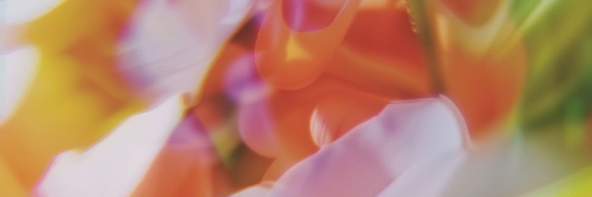 cherryissogood's profile banner image