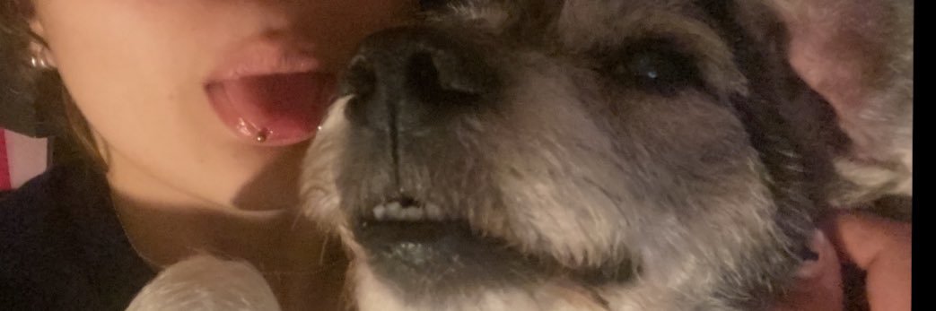 feefillamass's profile banner image