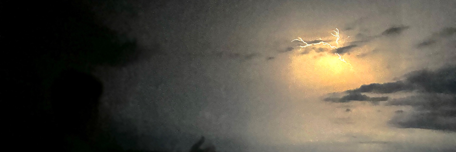 treityy's profile banner image