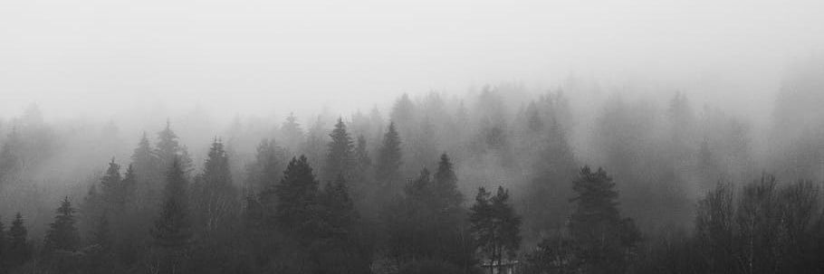 luzkafthn's profile banner image