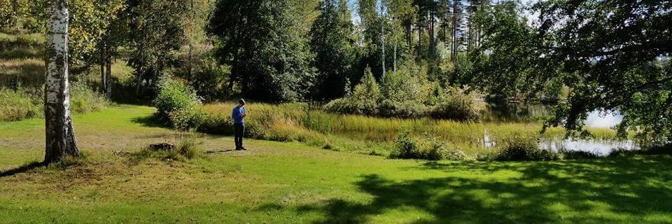 Dennis Mitzner banner