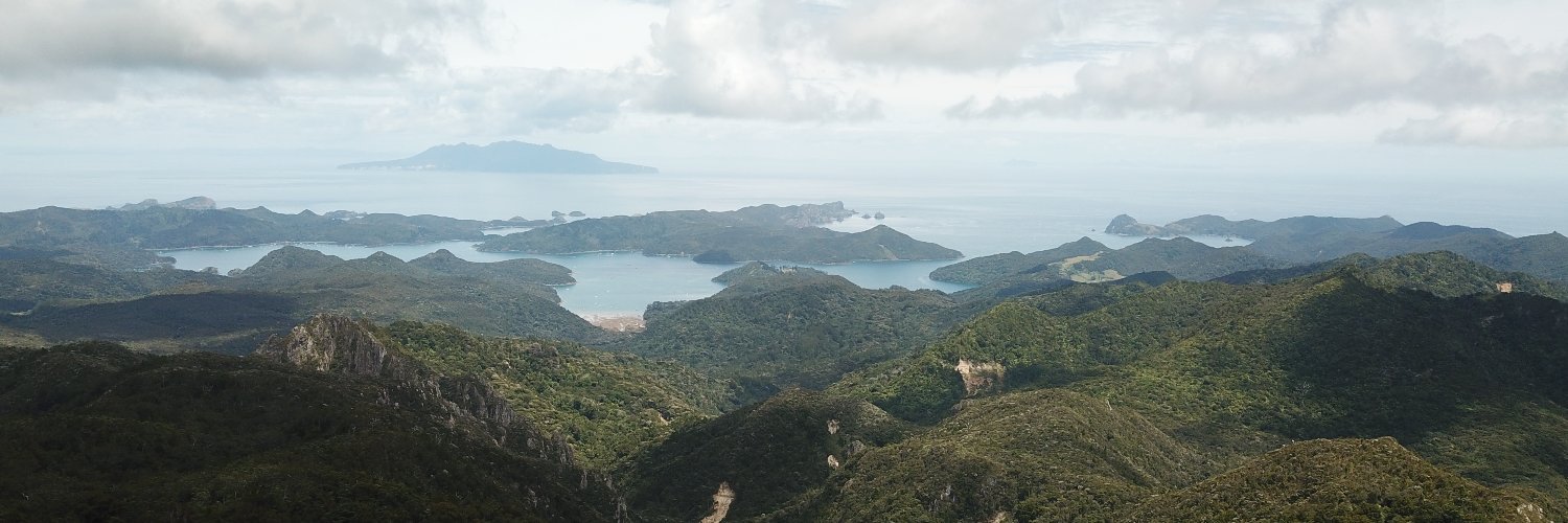 André Bellvé banner