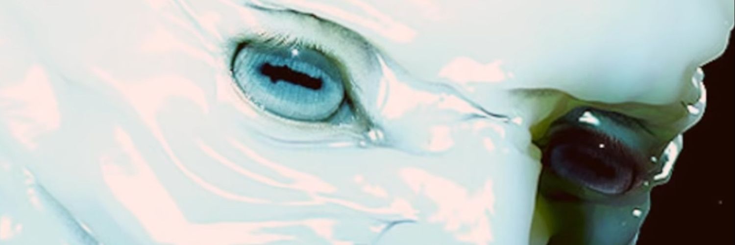 𖤍 𝑇𝑒𝑟𝑟𝑒𝑛𝑐𝑒 𖤍 banner