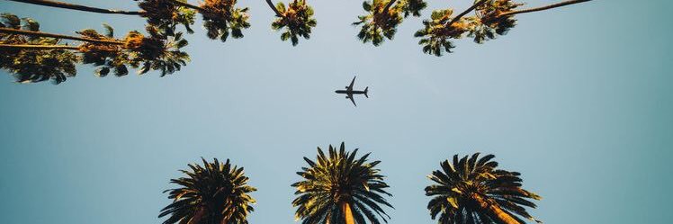 vickbastian's profile banner image