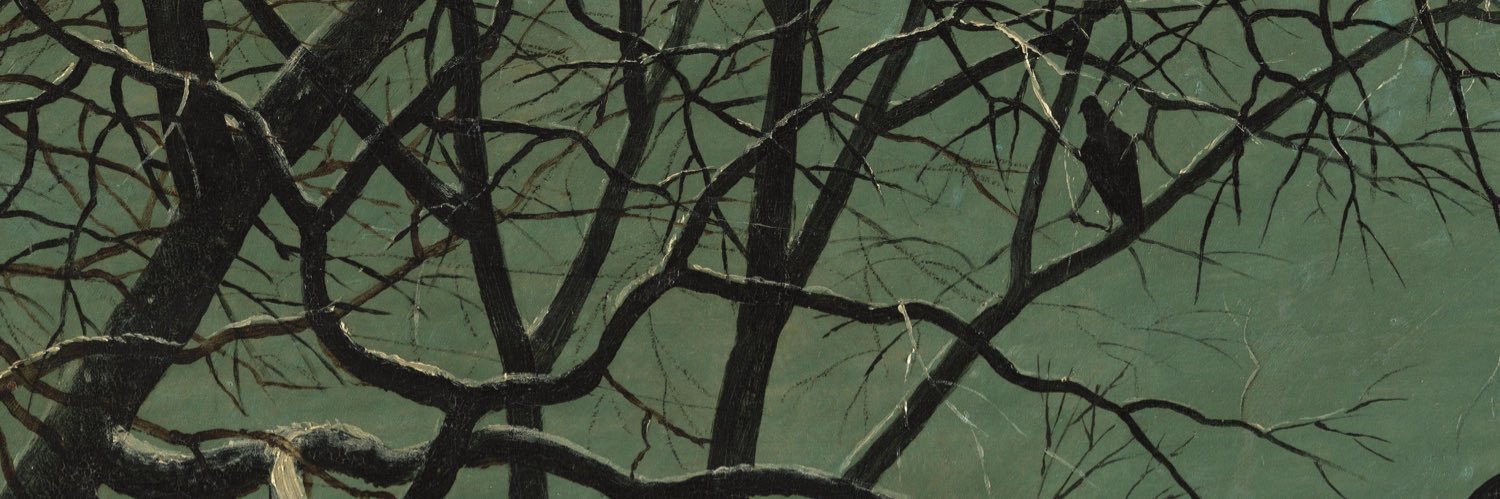 jvleugels's profile banner image